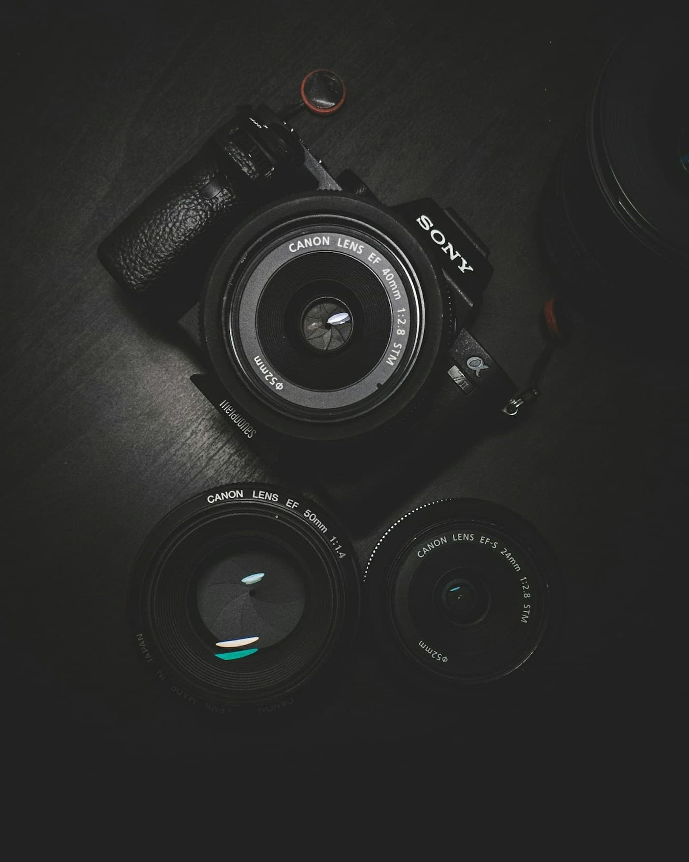 A close-up of someone holding a camera